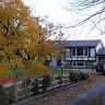 Fall Means Colour And Halloween!